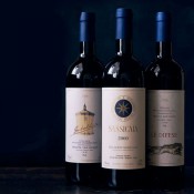 Vinuri Italia